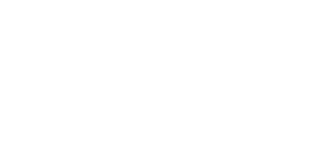 Logo L. van Vliet Vorkheftrucks